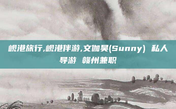 衡东岘港旅行,岘港伴游,文伽昊(Sunny) 私人导游 赣州兼职