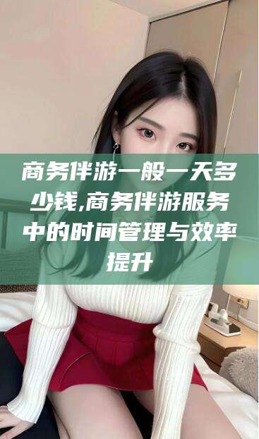 衡东商务伴游一般一天多少钱,商务伴游服务中的时间管理与效率提升