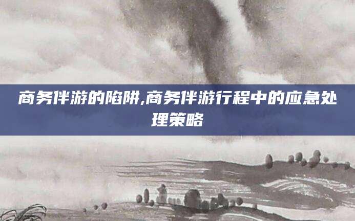 衡东商务伴游的陷阱,商务伴游行程中的应急处理策略
